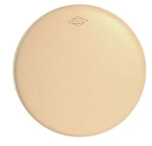 AQUARIAN American Vintage Medium 10"