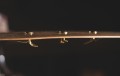 e32d1d_CY-RIVET-BR_lifestyle_03.jpg