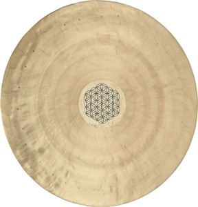 MEINL Sonic Energy 1B-WGFOL24 Wind Gong 24" (FOL)