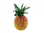 NINO NINO595 Shaker ananas