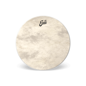 EVANS Calftone Bass 16"