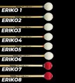 Eriko Group Photo.jpg