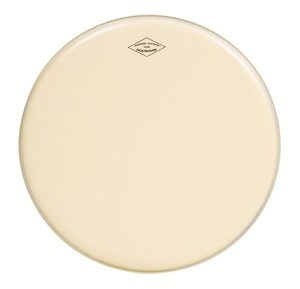 AQUARIAN Modern Vintage Thin 10"