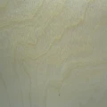 CT-4BN5.webp