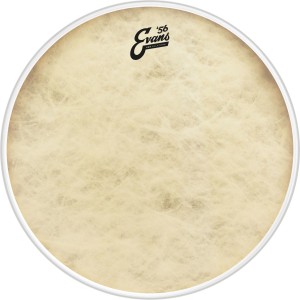 EVANS EQ4 Calftone Bass 16"
