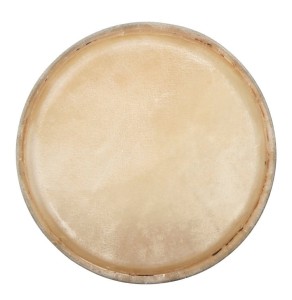 CLUB SALSA F847251 naciąg do conga 11"