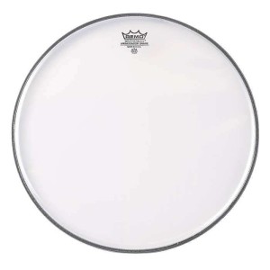 REMO Ambassador Hazy 10"
